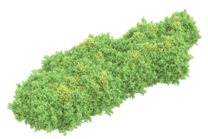 Realistic forest isolated on transparent background. 3d rendering - illustration png