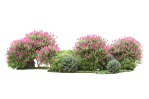 Realistic forest isolated on transparent background. 3d rendering - illustration png