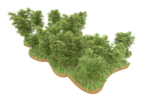 Realistic forest isolated on transparent background. 3d rendering - illustration png