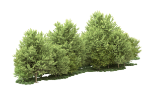 Realistic forest isolated on transparent background. 3d rendering - illustration png
