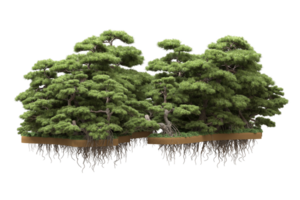 Realistic forest isolated on transparent background. 3d rendering - illustration png