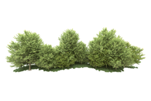 Realistic forest isolated on transparent background. 3d rendering - illustration png