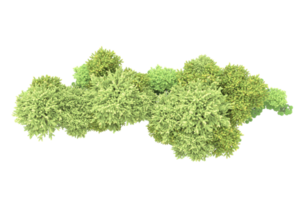 Realistic forest isolated on transparent background. 3d rendering - illustration png