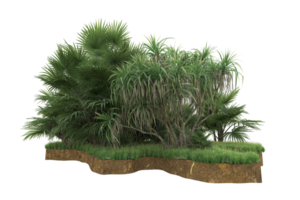 Realistic forest isolated on transparent background. 3d rendering - illustration png