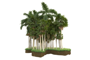 Realistic forest isolated on transparent background. 3d rendering - illustration png