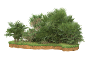 Realistic forest isolated on transparent background. 3d rendering - illustration png