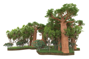 Realistic forest isolated on transparent background. 3d rendering - illustration png