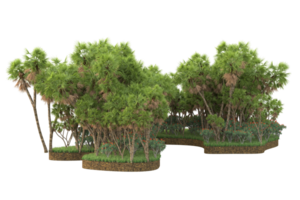 Realistic forest isolated on transparent background. 3d rendering - illustration png
