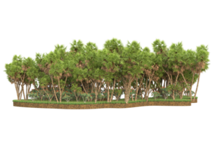 Realistic forest isolated on transparent background. 3d rendering - illustration png