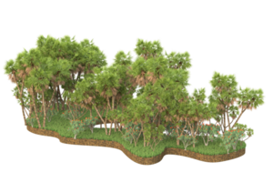 Realistic forest isolated on transparent background. 3d rendering - illustration png