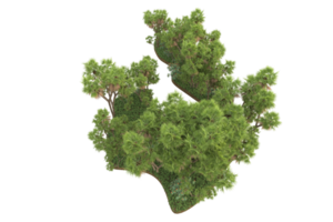 Realistic forest isolated on transparent background. 3d rendering - illustration png