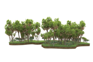 forêt réaliste isolée sur fond transparent. rendu 3d - illustration png