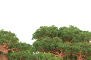 Realistic forest isolated on transparent background. 3d rendering - illustration png