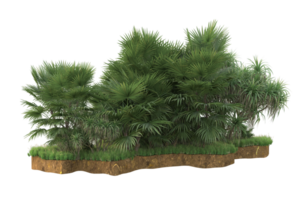 Realistic forest isolated on transparent background. 3d rendering - illustration png