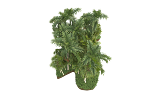 forêt réaliste isolée sur fond transparent. rendu 3d - illustration png