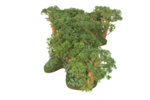 Realistic forest isolated on transparent background. 3d rendering - illustration png