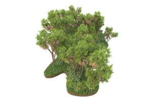 realistischer wald lokalisiert auf transparentem hintergrund. 3D-Rendering - Abbildung png