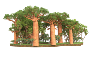 Realistic forest isolated on transparent background. 3d rendering - illustration png