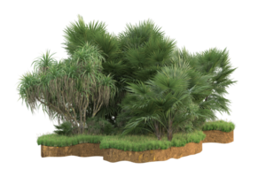 Realistic forest isolated on transparent background. 3d rendering - illustration png