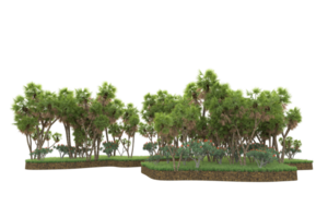 Realistic forest isolated on transparent background. 3d rendering - illustration png