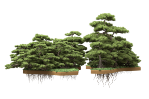 Realistic forest isolated on transparent background. 3d rendering - illustration png