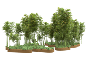 forêt réaliste isolée sur fond transparent. rendu 3d - illustration png