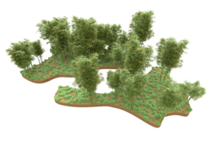 Realistic forest isolated on transparent background. 3d rendering - illustration png