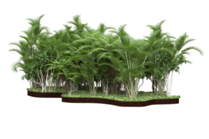 Realistic forest isolated on transparent background. 3d rendering - illustration png