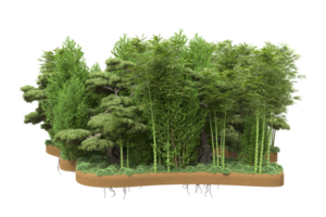 Realistic forest isolated on transparent background. 3d rendering - illustration png