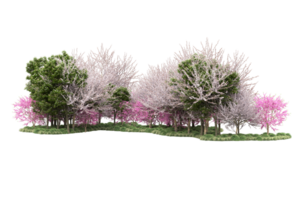 Realistic forest isolated on transparent background. 3d rendering - illustration png