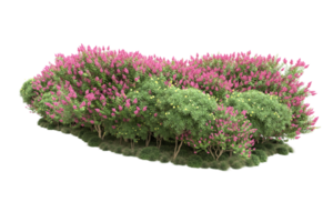 Realistic forest isolated on transparent background. 3d rendering - illustration png