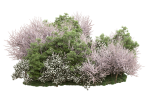 forêt réaliste isolée sur fond transparent. rendu 3d - illustration png