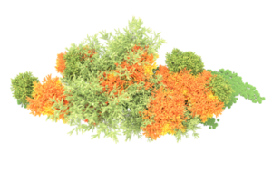 realistisk skog isolerat på transparent bakgrund. 3d tolkning - illustration png