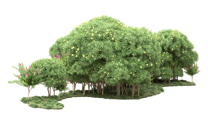 Realistic forest isolated on transparent background. 3d rendering - illustration png