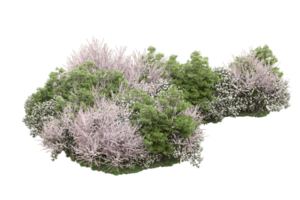 Realistic forest isolated on transparent background. 3d rendering - illustration png