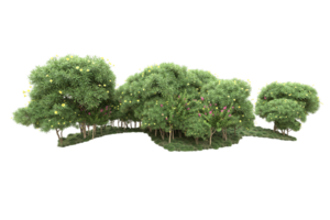 forêt réaliste isolée sur fond transparent. rendu 3d - illustration png