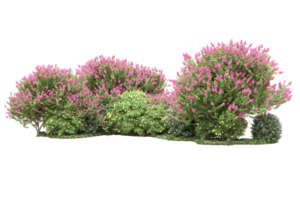 Realistic forest isolated on transparent background. 3d rendering - illustration png