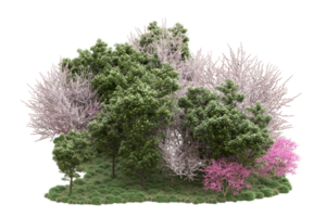 Realistic forest isolated on transparent background. 3d rendering - illustration png