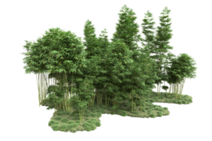 forêt réaliste isolée sur fond transparent. rendu 3d - illustration png