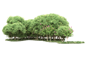 Realistic forest isolated on transparent background. 3d rendering - illustration png