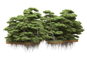 Realistic forest isolated on transparent background. 3d rendering - illustration png