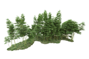 floresta realista isolada em fundo transparente. renderização 3D - ilustração png