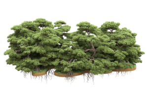 Realistic forest isolated on transparent background. 3d rendering - illustration png