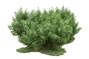 Realistic forest isolated on transparent background. 3d rendering - illustration png