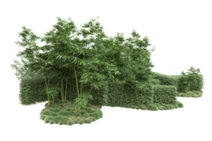 Realistic forest isolated on transparent background. 3d rendering - illustration png