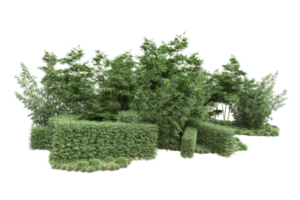 Realistic forest isolated on transparent background. 3d rendering - illustration png