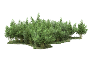 Realistic forest isolated on transparent background. 3d rendering - illustration png