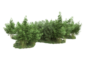 Realistic forest isolated on transparent background. 3d rendering - illustration png