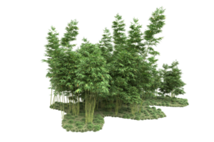 forêt réaliste isolée sur fond transparent. rendu 3d - illustration png