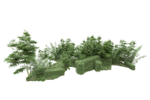 Realistic forest isolated on transparent background. 3d rendering - illustration png